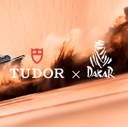 tudor world