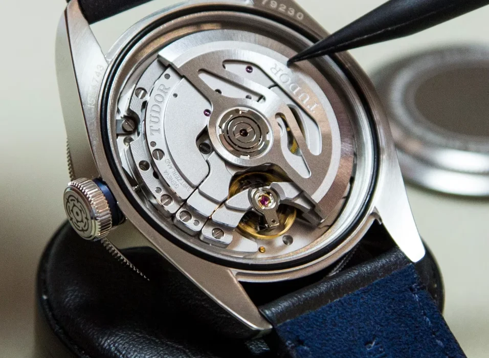 watch identification